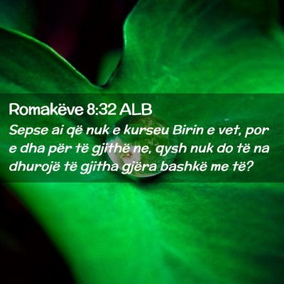 Picture 02 - Romakëve 8:32 ALB - Sepse ai që nuk e kurseu Birin e vet, por e dha - Bible Verse Picture