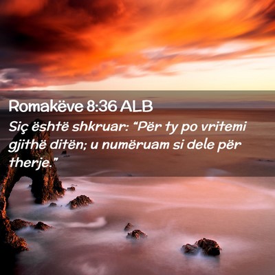 Picture 02 - Romakëve 8:36 ALB - Siç është shkruar: “Për ty po vritemi - Bible Verse Picture