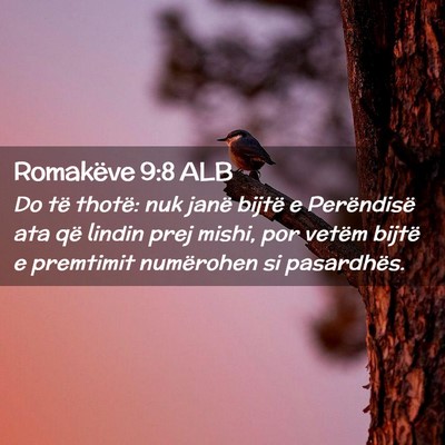 Picture 02 - Romakëve 9:8 ALB - Do të thotë: nuk janë bijtë e Perëndisë ata - Bible Verse Picture