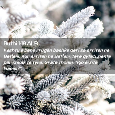 Picture 02 - Ruthi 1:19 ALB - Kështu e bënë rrugën bashkë deri sa arritën - Bible Verse Picture