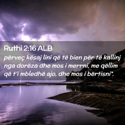 Picture 02 - Ruthi 2:16 ALB - përveç kësaj lini që të bien për të - Bible Verse Picture