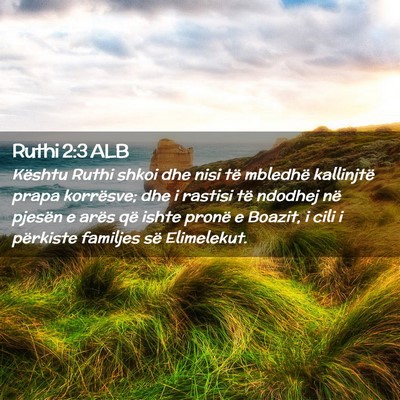 Picture 02 - Ruthi 2:3 ALB - Kështu Ruthi shkoi dhe nisi të mbledhë - Bible Verse Picture