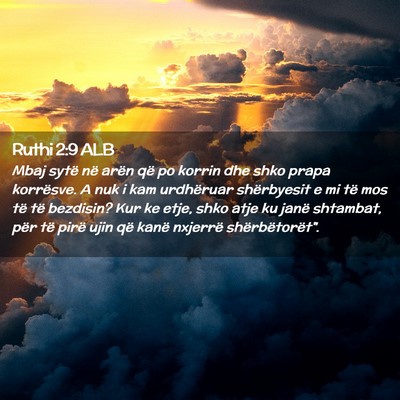 Picture 02 - Ruthi 2:9 ALB - Mbaj sytë në arën që po korrin dhe shko prapa - Bible Verse Picture