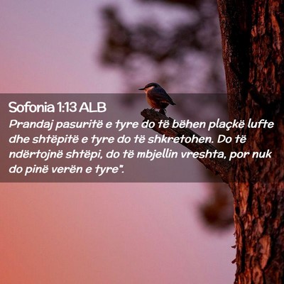 Picture 02 - Sofonia 1:13 ALB - Prandaj pasuritë e tyre do të bëhen plaçkë - Bible Verse Picture