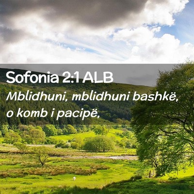 Picture 02 - Sofonia 2:1 ALB - Mblidhuni, mblidhuni bashkë, o komb i - Bible Verse Picture