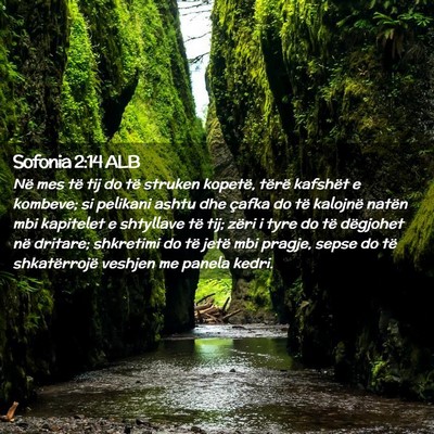 Picture 02 - Sofonia 2:14 ALB - Në mes të tij do të struken kopetë, tërë - Bible Verse Picture