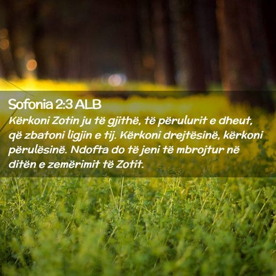Picture 02 - Sofonia 2:3 ALB - Kërkoni Zotin ju të gjithë, të përulurit e - Bible Verse Picture