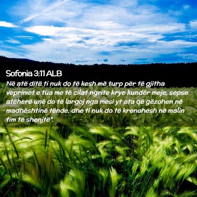 Picture 02 - Sofonia 3:11 ALB - Në atë ditë ti nuk do të kesh më turp për - Bible Verse Picture