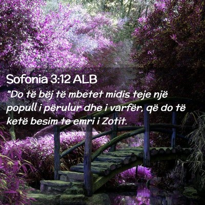 Picture 02 - Sofonia 3:12 ALB - 