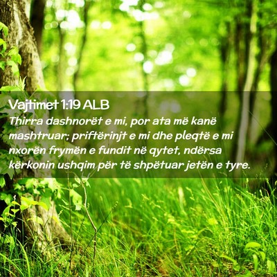 Picture 02 - Vajtimet 1:19 ALB - Thirra dashnorët e mi, por ata më kanë - Bible Verse Picture