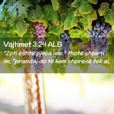 Picture 02 - Vajtimet 3:24 ALB - 