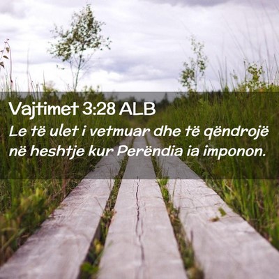 Picture 02 - Vajtimet 3:28 ALB - Le të ulet i vetmuar dhe të qëndrojë në - Bible Verse Picture