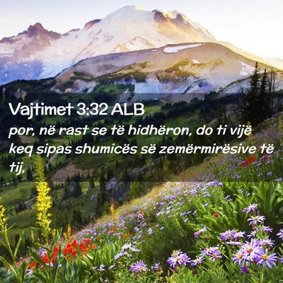 Picture 02 - Vajtimet 3:32 ALB - por, në rast se të hidhëron, do ti vijë keq - Bible Verse Picture