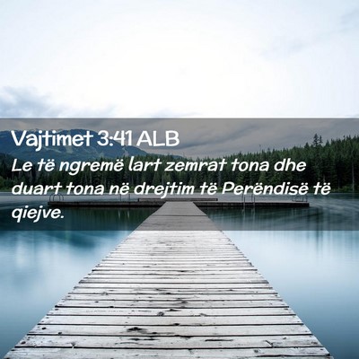 Picture 02 - Vajtimet 3:41 ALB - Le të ngremë lart zemrat tona dhe duart tona - Bible Verse Picture