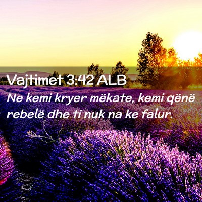 Picture 02 - Vajtimet 3:42 ALB - Ne kemi kryer mëkate, kemi qënë rebelë dhe ti - Bible Verse Picture