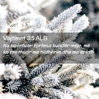 Picture 02 - Vajtimet 3:5 ALB - Ka ndërtuar fortesa kundër meje, më ka - Bible Verse Picture