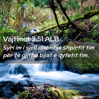 Picture 02 - Vajtimet 3:51 ALB - Syri im i sjell dhembje shpirtit tim për të - Bible Verse Picture