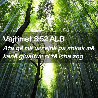 Picture 02 - Vajtimet 3:52 ALB - Ata që më urrejnë pa shkak më kanë gjuajtur - Bible Verse Picture