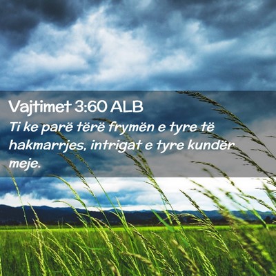 Picture 02 - Vajtimet 3:60 ALB - Ti ke parë tërë frymën e tyre të hakmarrjes, - Bible Verse Picture
