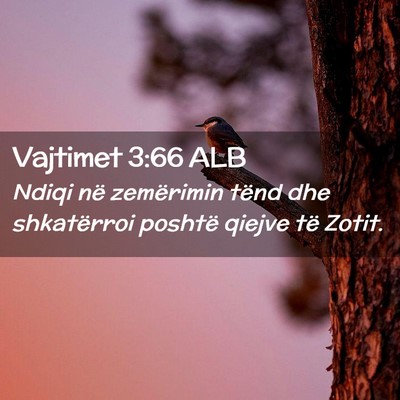 Picture 02 - Vajtimet 3:66 ALB - Ndiqi në zemërimin tënd dhe shkatërroi - Bible Verse Picture