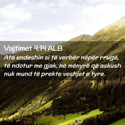 Picture 02 - Vajtimet 4:14 ALB - Ata endeshin si të verbër nëpër rrugë, të - Bible Verse Picture