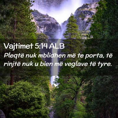 Picture 02 - Vajtimet 5:14 ALB - Pleqtë nuk mblidhen më te porta, të rinjtë - Bible Verse Picture