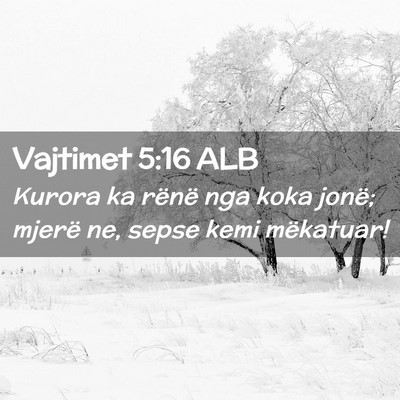 Picture 02 - Vajtimet 5:16 ALB - Kurora ka rënë nga koka jonë; mjerë ne, sepse - Bible Verse Picture