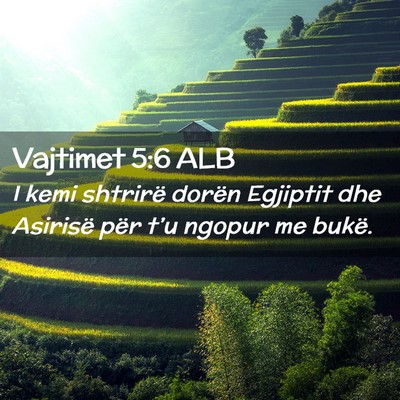 Picture 02 - Vajtimet 5:6 ALB - I kemi shtrirë dorën Egjiptit dhe Asirisë për - Bible Verse Picture