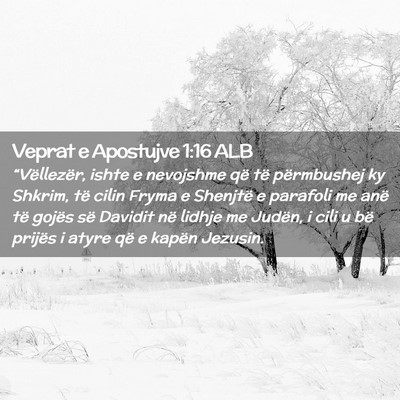 Picture 02 - Veprat e Apostujve 1:16 ALB - “Vëllezër, ishte e nevojshme që të - Bible Verse Picture