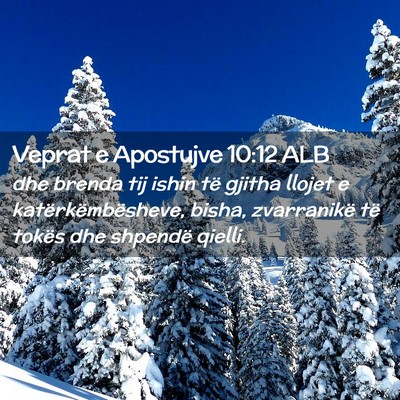 Picture 02 - Veprat e Apostujve 10:12 ALB - dhe brenda tij ishin të gjitha llojet e - Bible Verse Picture