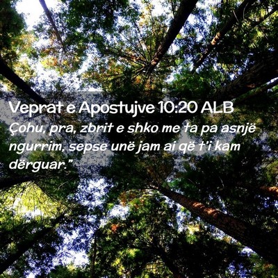 Picture 02 - Veprat e Apostujve 10:20 ALB - Çohu, pra, zbrit e shko me ta pa asnjë ngurrim, - Bible Verse Picture