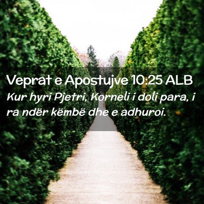 Picture 02 - Veprat e Apostujve 10:25 ALB - Kur hyri Pjetri, Korneli i doli para, i ra ndër - Bible Verse Picture