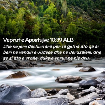 Picture 02 - Veprat e Apostujve 10:39 ALB - Dhe ne jemi dëshmitarë për të gjitha ato që - Bible Verse Picture