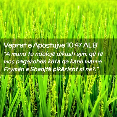 Picture 02 - Veprat e Apostujve 10:47 ALB - “A mund ta ndalojë dikush ujin, që të mos - Bible Verse Picture