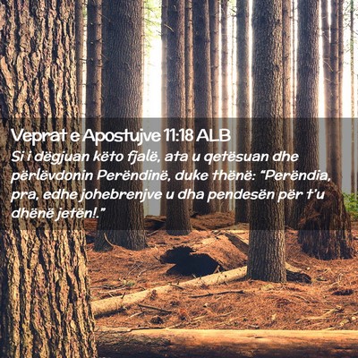 Picture 02 - Veprat e Apostujve 11:18 ALB - Si i dëgjuan këto fjalë, ata u qetësuan dhe - Bible Verse Picture