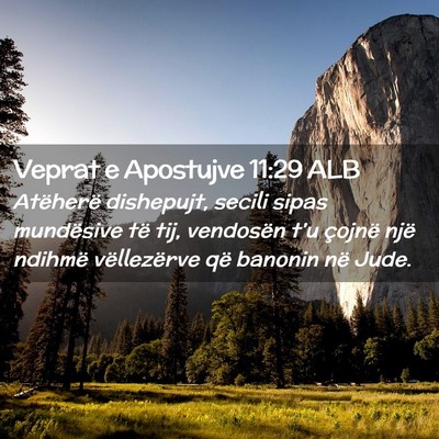 Picture 02 - Veprat e Apostujve 11:29 ALB - Atëherë dishepujt, secili sipas mundësive të - Bible Verse Picture