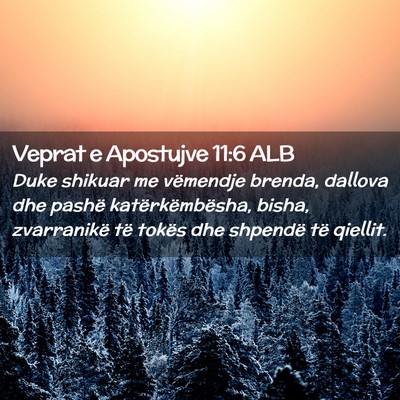 Picture 02 - Veprat e Apostujve 11:6 ALB - Duke shikuar me vëmendje brenda, dallova dhe - Bible Verse Picture
