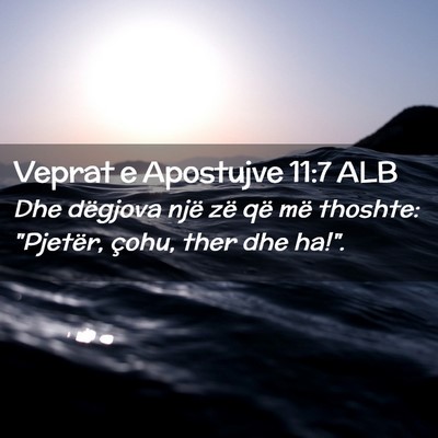 Picture 02 - Veprat e Apostujve 11:7 ALB - Dhe dëgjova një zë që më thoshte: 