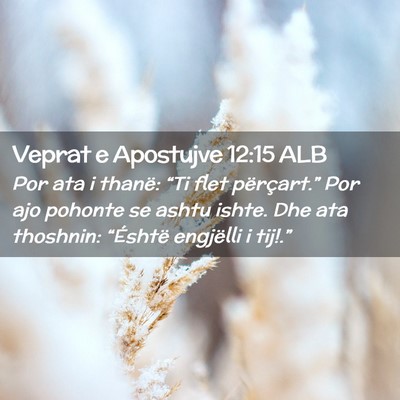 Picture 02 - Veprat e Apostujve 12:15 ALB - Por ata i thanë: “Ti flet përçart.” Por - Bible Verse Picture