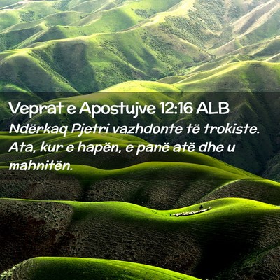 Picture 02 - Veprat e Apostujve 12:16 ALB - Ndërkaq Pjetri vazhdonte të trokiste. Ata, kur - Bible Verse Picture