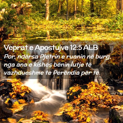 Picture 02 - Veprat e Apostujve 12:5 ALB - Por, ndërsa Pjetrin e ruanin në burg, nga ana e - Bible Verse Picture