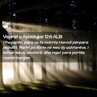 Picture 02 - Veprat e Apostujve 12:6 ALB - Dhe natën, para se ta nxirrte Herodi përpara - Bible Verse Picture