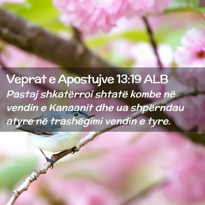 Picture 02 - Veprat e Apostujve 13:19 ALB - Pastaj shkatërroi shtatë kombe në vendin e - Bible Verse Picture