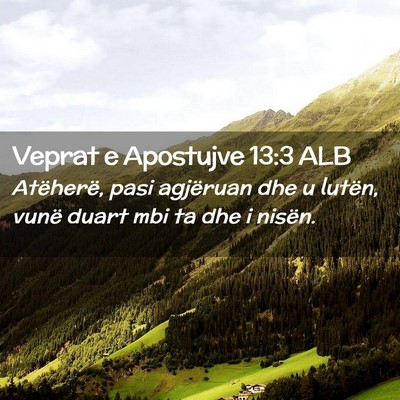 Picture 02 - Veprat e Apostujve 13:3 ALB - Atëherë, pasi agjëruan dhe u lutën, vunë - Bible Verse Picture