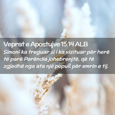 Picture 02 - Veprat e Apostujve 15:14 ALB - Simoni ka treguar si i ka vizituar për herë të - Bible Verse Picture