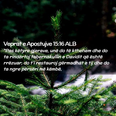Picture 02 - Veprat e Apostujve 15:16 ALB - 