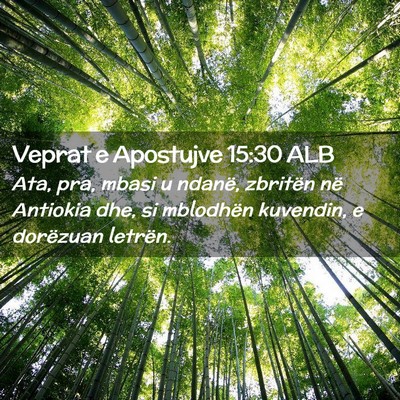 Picture 02 - Veprat e Apostujve 15:30 ALB - Ata, pra, mbasi u ndanë, zbritën në Antiokia - Bible Verse Picture