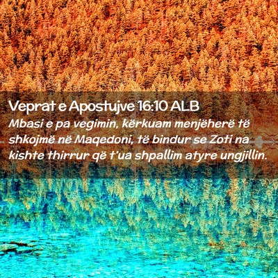 Picture 02 - Veprat e Apostujve 16:10 ALB - Mbasi e pa vegimin, kërkuam menjëherë të - Bible Verse Picture