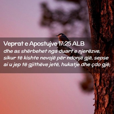 Picture 02 - Veprat e Apostujve 17:25 ALB - dhe as shërbehet nga duart e njerëzve, sikur - Bible Verse Picture