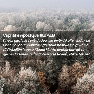 Picture 02 - Veprat e Apostujve 18:2 ALB - Dhe si gjeti një farë Judeu, me emër Akuila, - Bible Verse Picture
